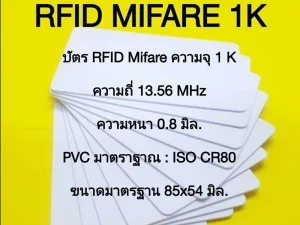 4243a736874d1a9a074eb1510eaf41a0_full-1781686969